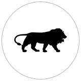 MADE IN INDIA